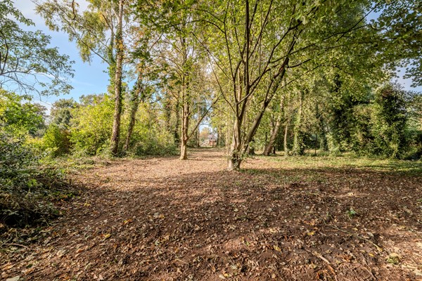 Medium property photo - Zuiderdiep 481, 9521 AN Nieuw-Buinen